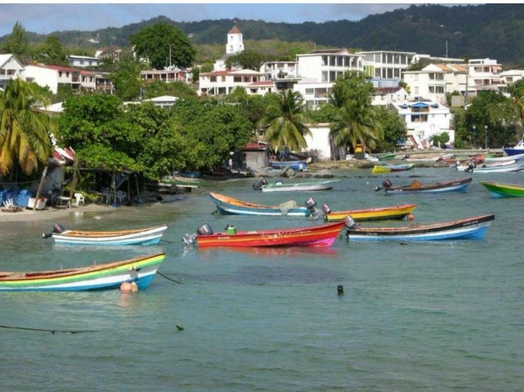 L'Hibiscus Piscine Et Plage Sainte-Luce Ngoại thất bức ảnh
